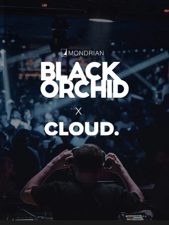 black orchid